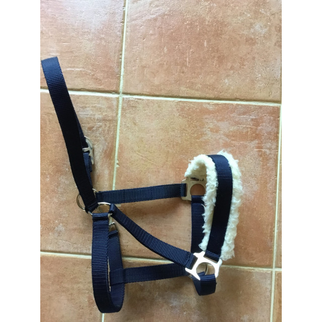 Licol bleu marine avec de la moumoute sur la muserolle