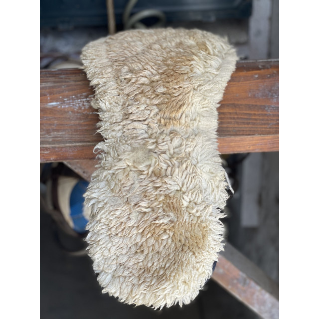 Selle de dressage SCB cuir noir