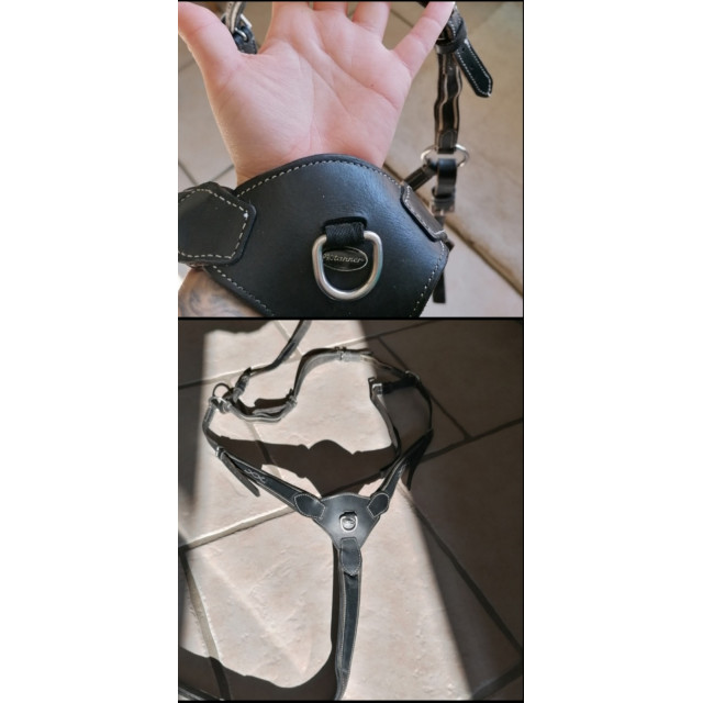 Collier de chasse protanner