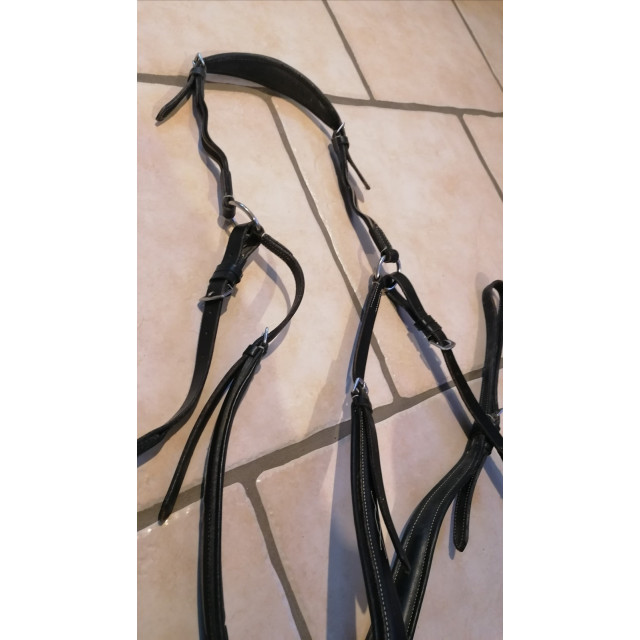 Collier de chasse protanner