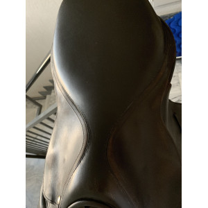 Selle pony games 16”