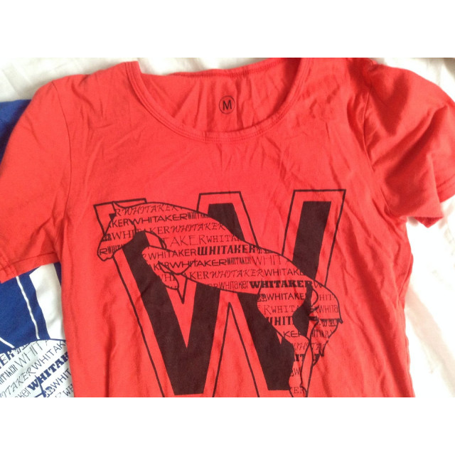 Lot de deux T-shirt John WHITAKER