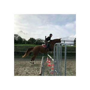 Guetres et pb bordeaux moumoute