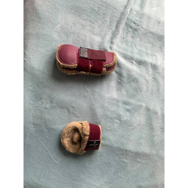 Guetres et pb bordeaux moumoute