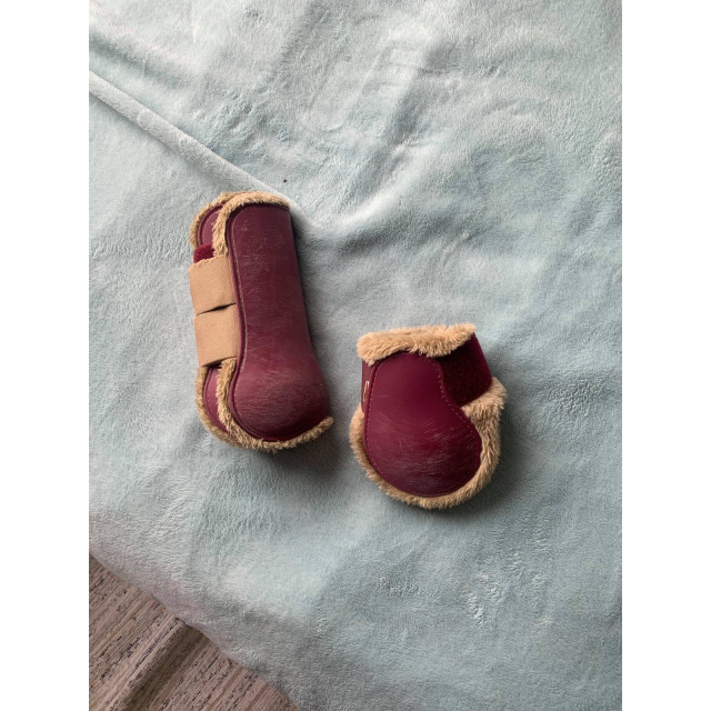 Guetres et pb bordeaux moumoute