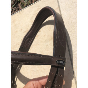 Bridon brun et havane