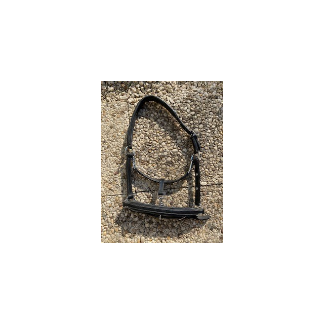 licol en cuir noir Norton