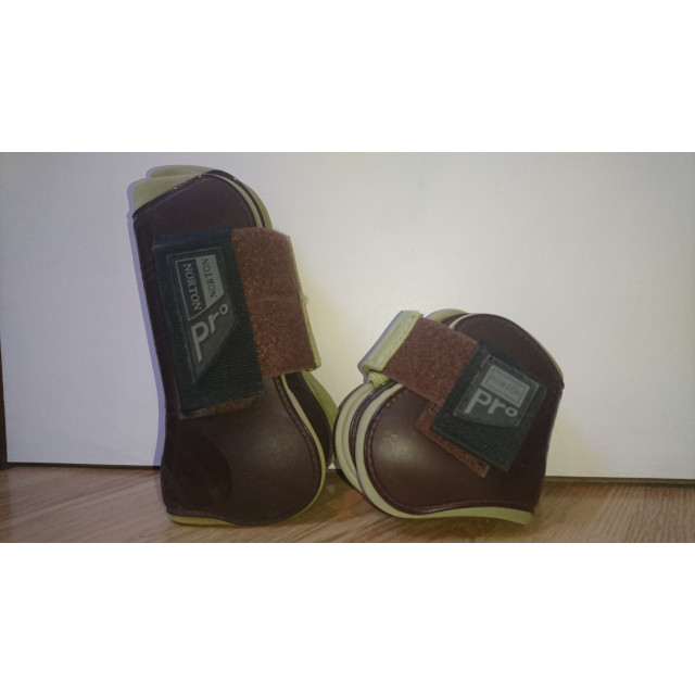 Protection Norton pro