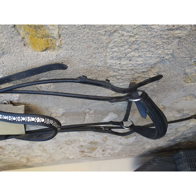Bridon noir cob muserolle allemande