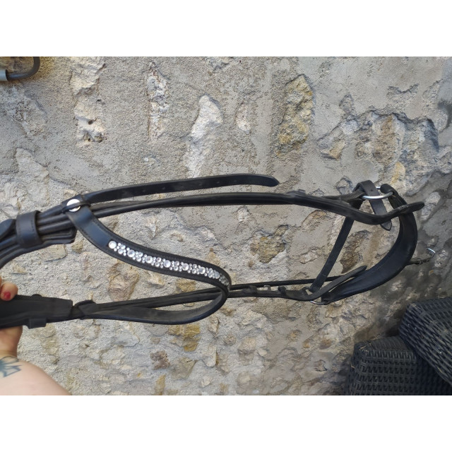 Bridon noir cob muserolle allemande