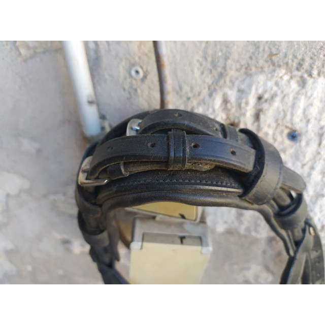 Bridon noir cob muserolle allemande