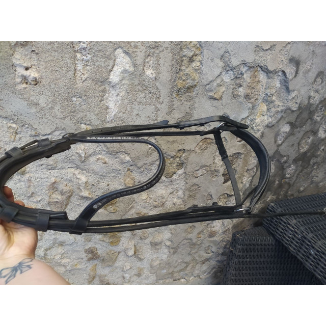 Bridon noir cob muserolle allemande