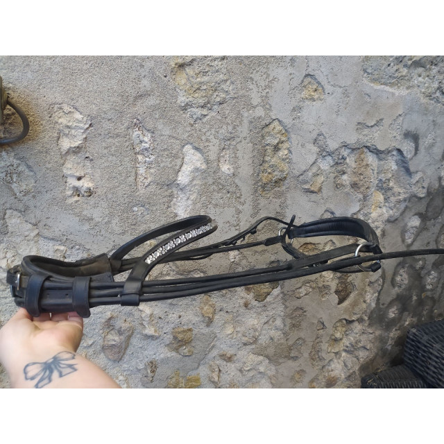 Bridon noir cob muserolle allemande