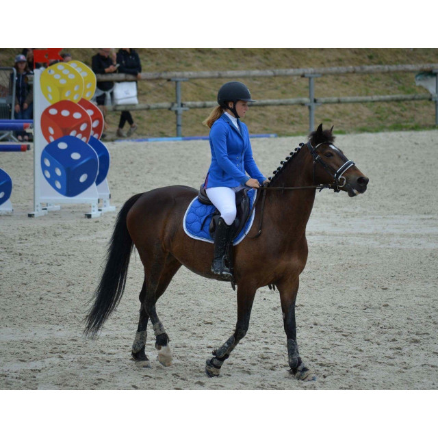 Veste animo bleu roi