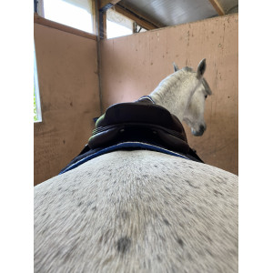 Selle CWD petit prix