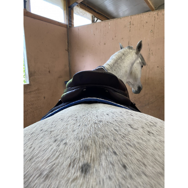 Selle CWD petit prix