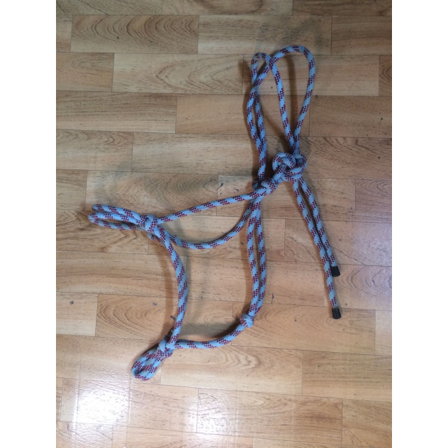 Licol en corde bleu ciel/bordeaux