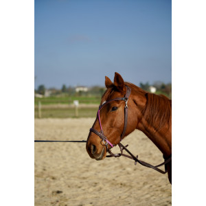 Bridon sans mors : Likorne