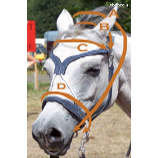 Bridon sans mors : Likorne