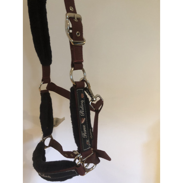 Licol+longe Fouganza Bordeaux taille cob