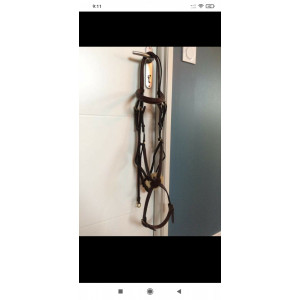 Bridon Équipe taille cob