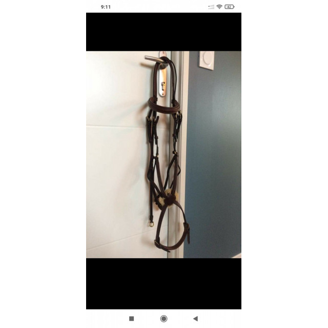 Bridon Équipe taille cob