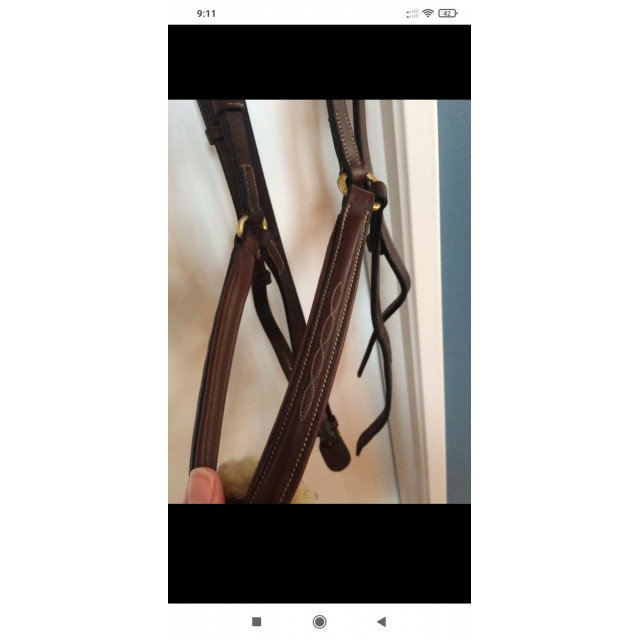 Bridon Équipe taille cob