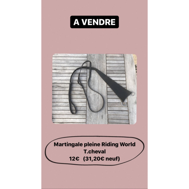 Martingale pleine Riding World taille cheval
