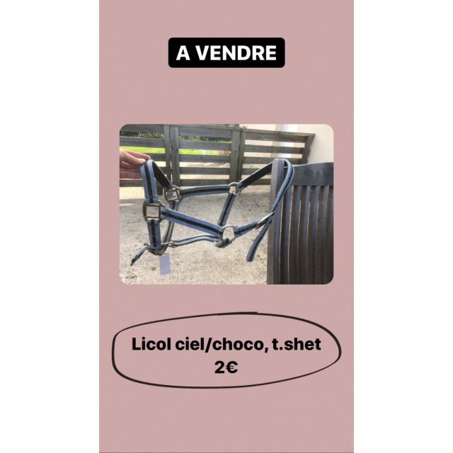 Licol choco/ciel shetland