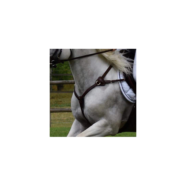 Collier de chasse 5 points TIME RIDER