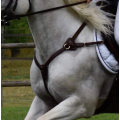 Collier de chasse 5 points TIME RIDER
