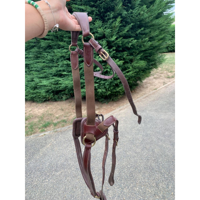 Collier de chasse 5 points TIME RIDER