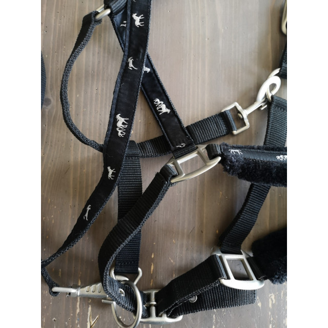 Licol et longe taille cheval neuf