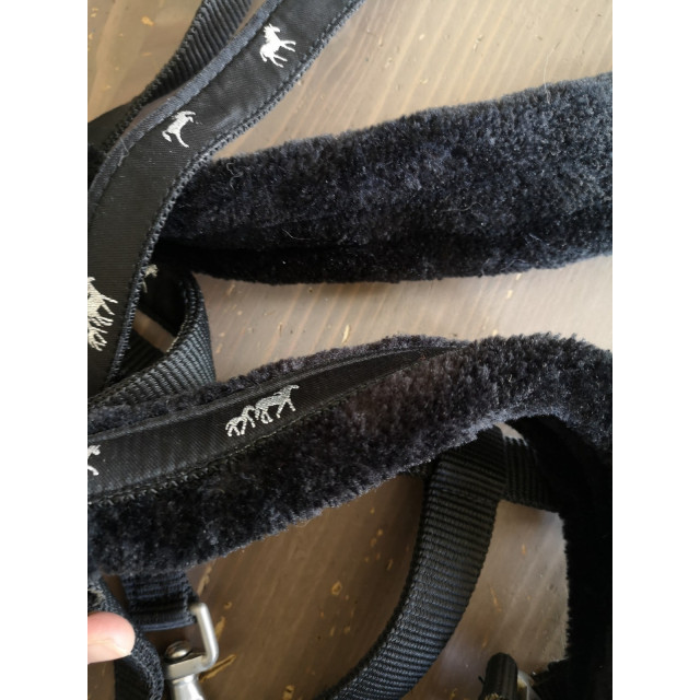 Licol et longe taille cheval neuf