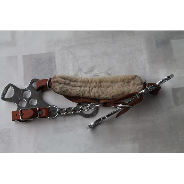 hackamore marron