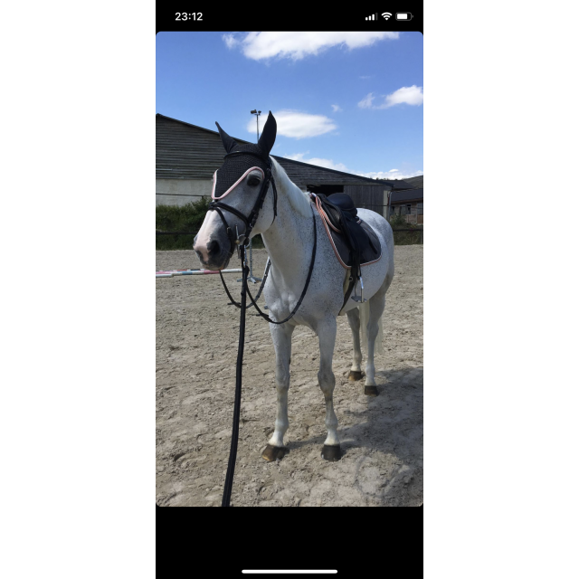 Tapis GEM pétal gris/rose ancien