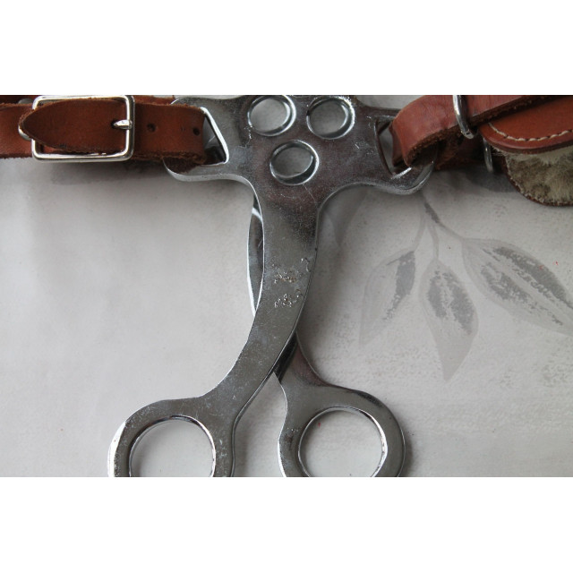 hackamore marron