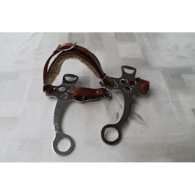 hackamore marron