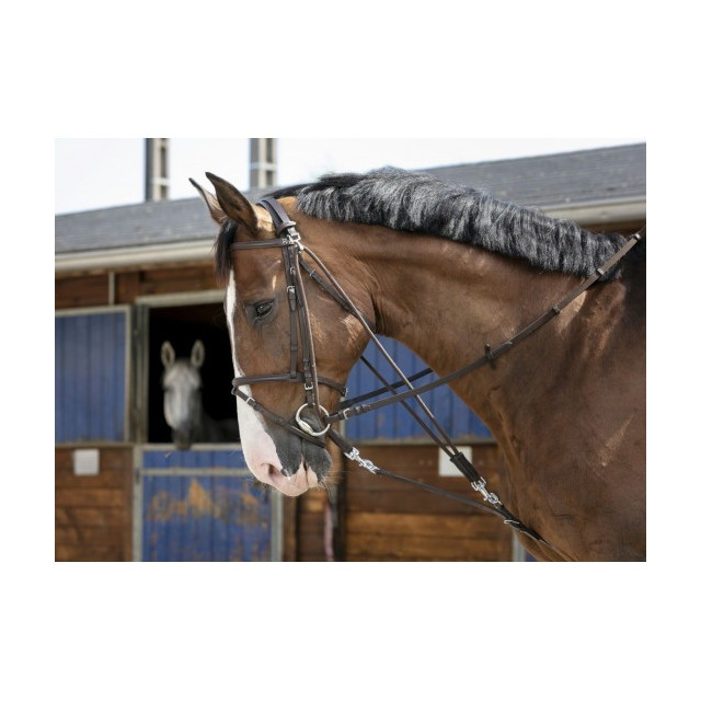 Gogue havane cheval