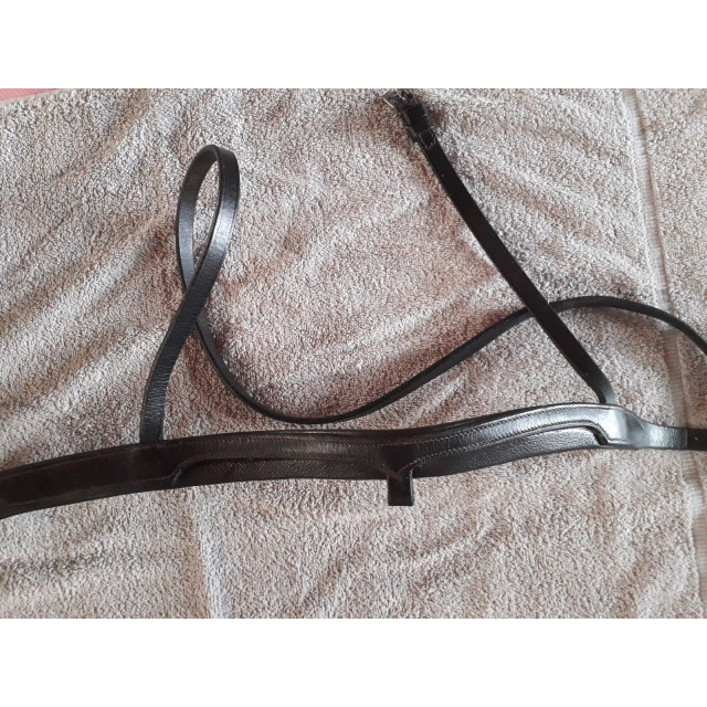 Ensemble Frontal/Muserolle
