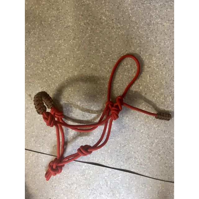 Licol éthologique