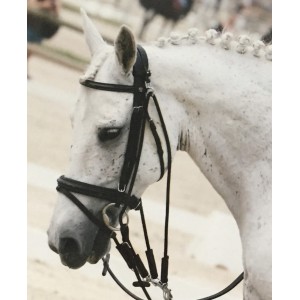 Filet muserole épaisse combiné, têtière anatomique