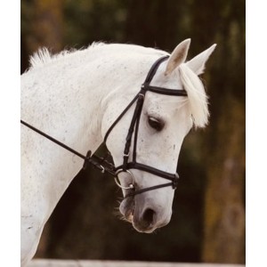 Bridon muserole combiné (amovible)