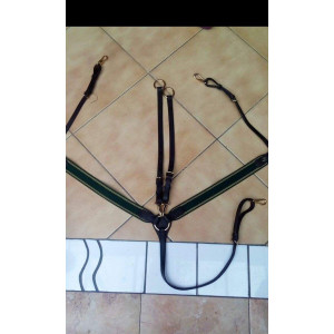 Collier de chasse martingale