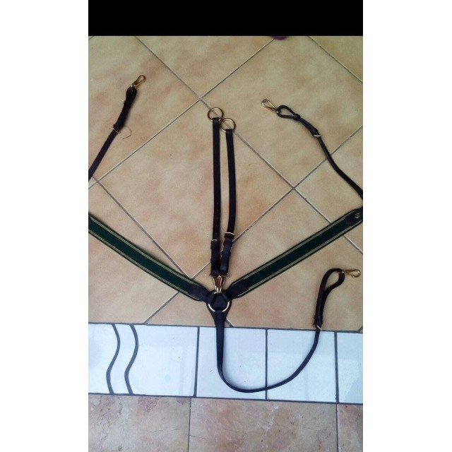 Collier de chasse martingale