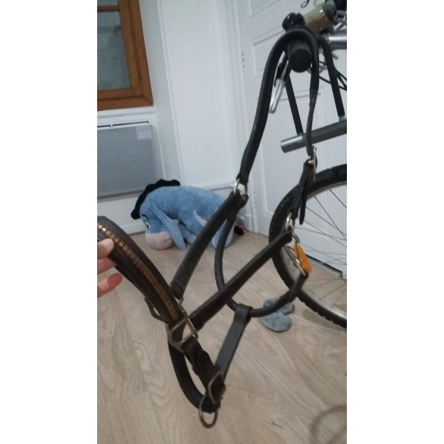 Licol cuir marron Protanner