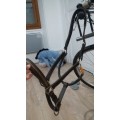 Licol cuir marron Protanner