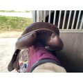 Selle Obstacle havane Childéric FE semi plat 17,5
