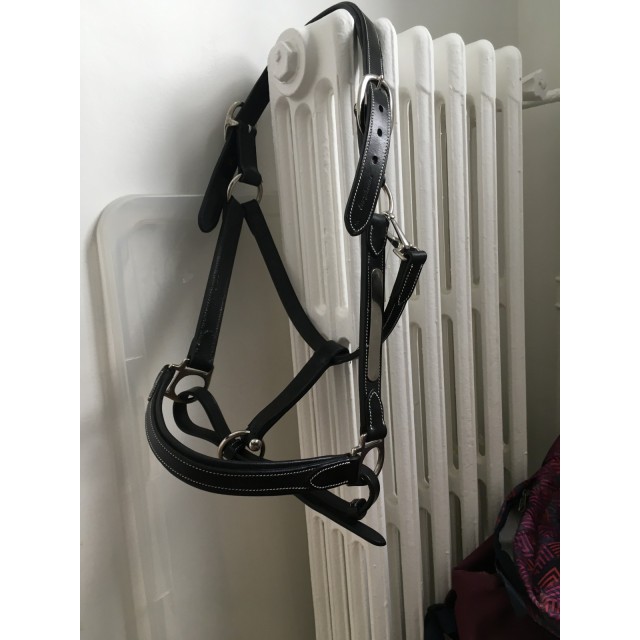 Licol en cuir noir Eric Thomas