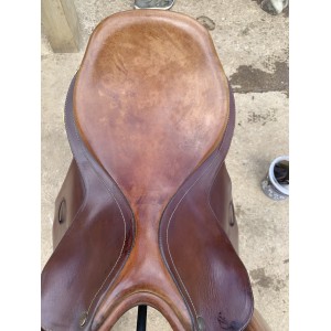 Urgent Selle bates caprilli